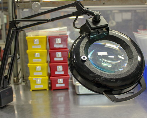 PERITUS PLASTICS - 